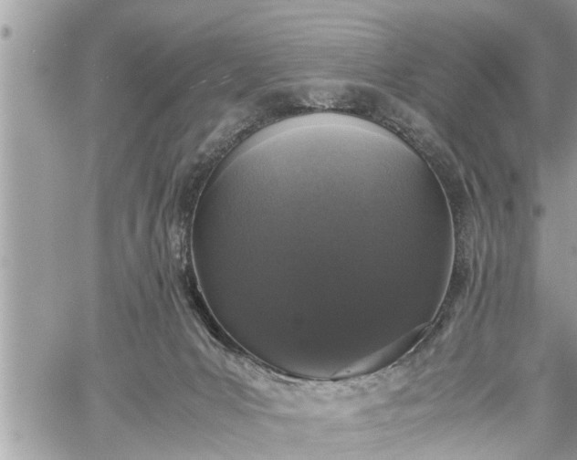 X0000060260031200511010924