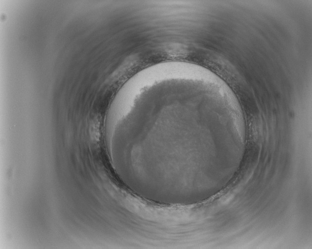 X0000060260032200511010924