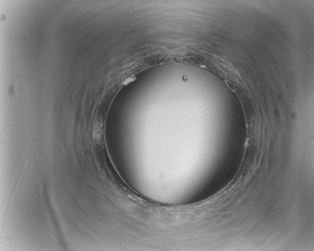 X0000060260033200511010924