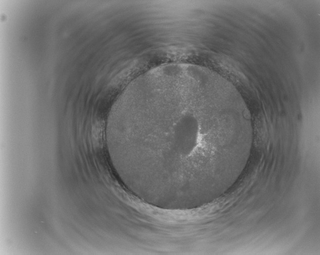 X0000060260034200511010924