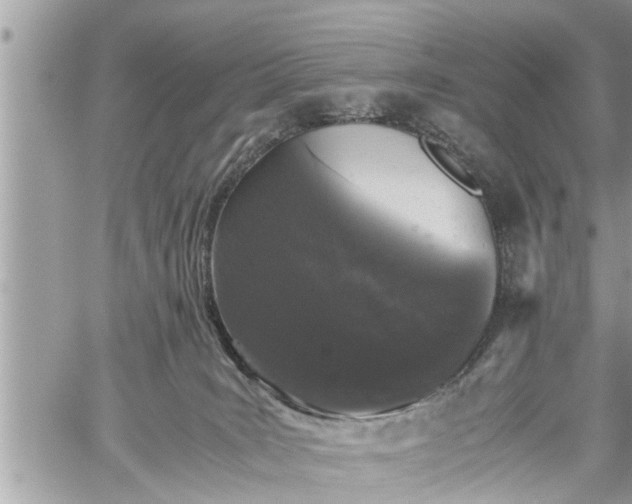 X0000060260035200511010924