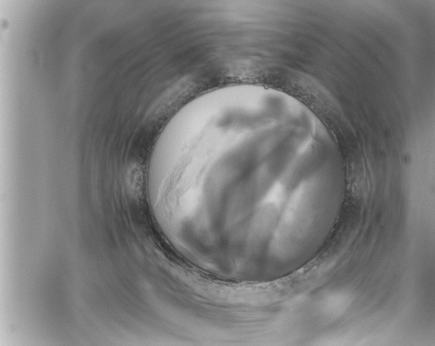 X0000060260036200511010924