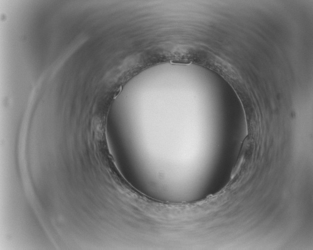 X0000060260037200511010924