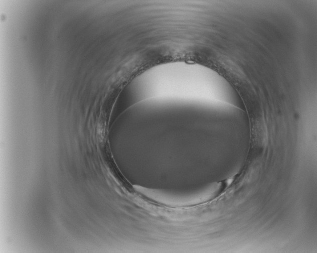 X0000060260039200511010924