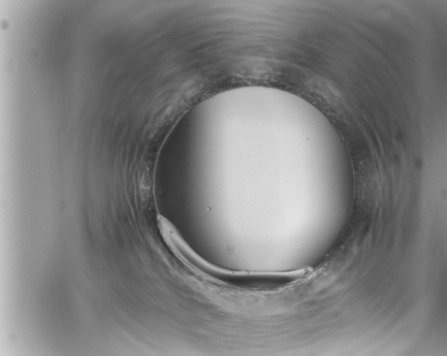 X0000060260040200511010924