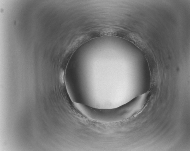 X0000060260041200511010924