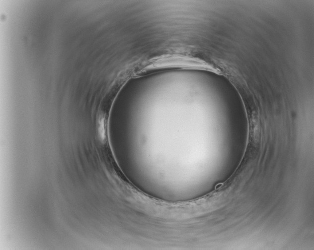 X0000060260042200511010924