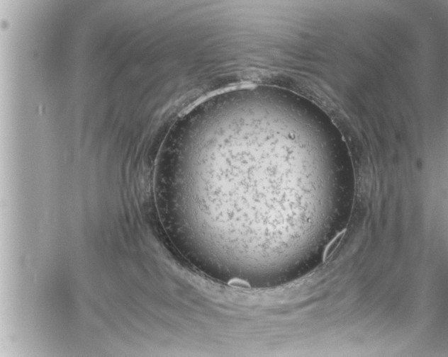 X0000060260043200511010924