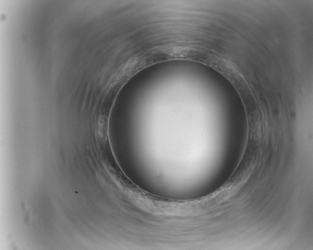 X0000060260044200511010924