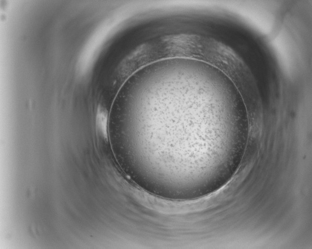 X0000060260047200511010924