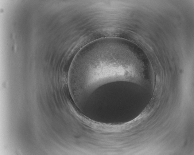 X0000060260048200511010924