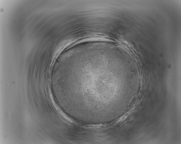 X0000060260049200511010923