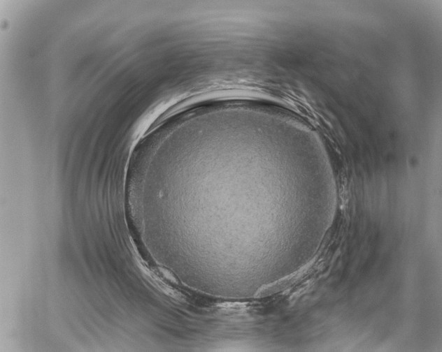 X0000060260052200511010923