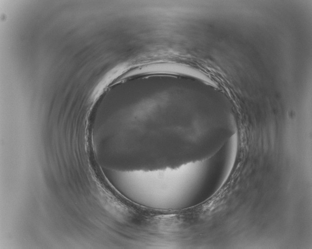 X0000060260054200511010923