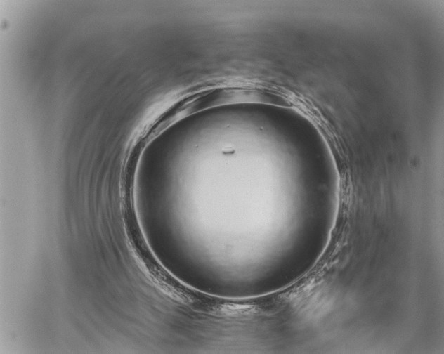 X0000060260055200511010923