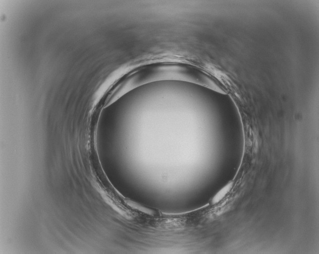 X0000060260056200511010923