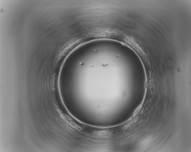 X0000060260058200511010923