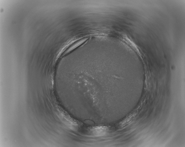 X0000060260059200511010923