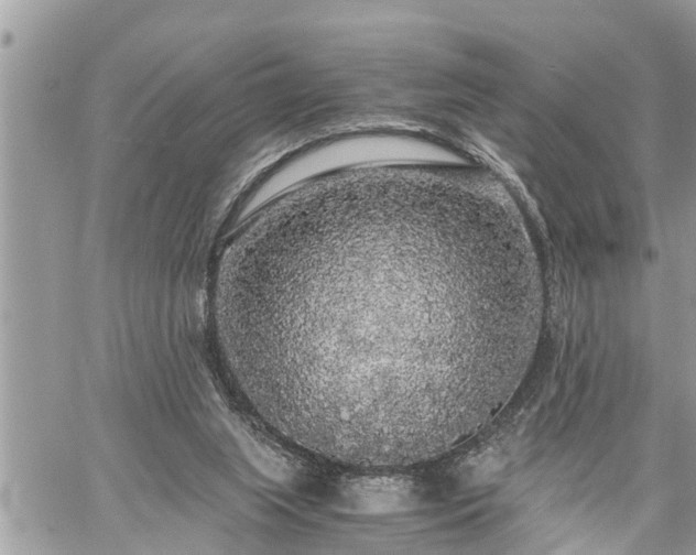 X0000060260063200511010923