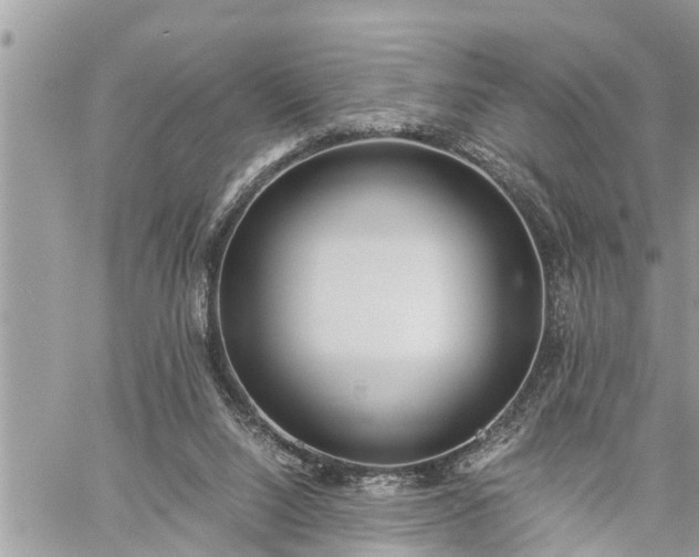 X0000060260064200511010923