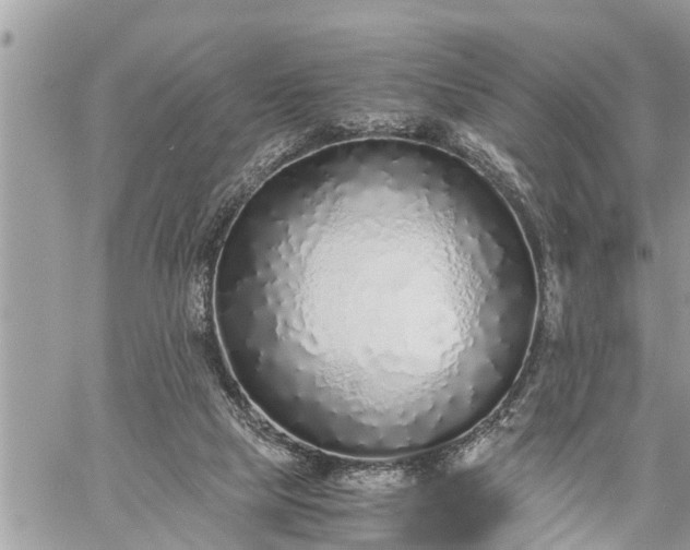 X0000060260065200511010923