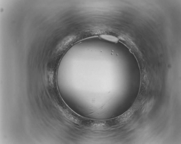 X0000060260066200511010923