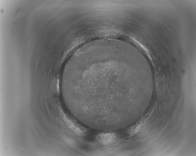 X0000060260067200511010923