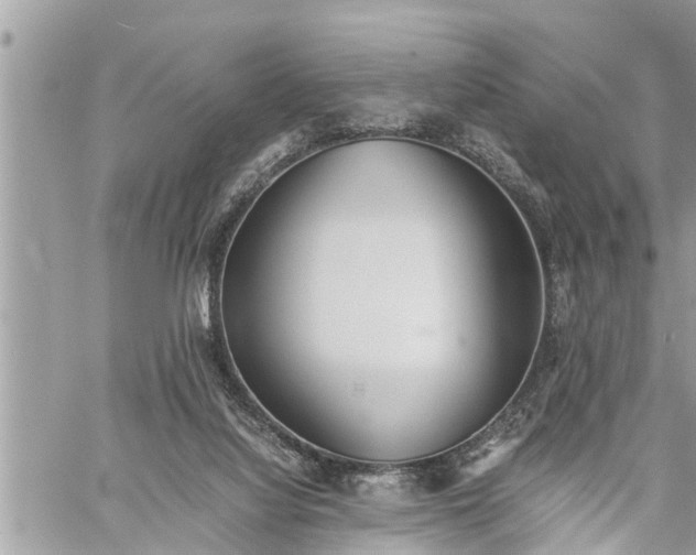 X0000060260068200511010924