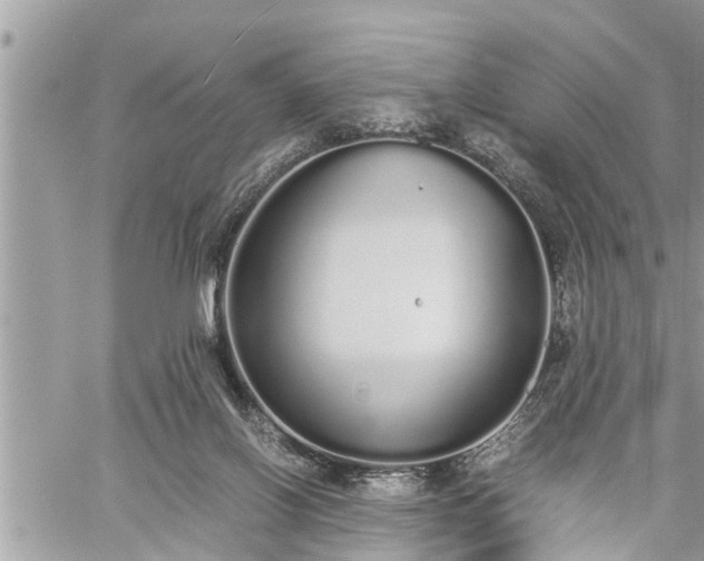 X0000060260070200511010924