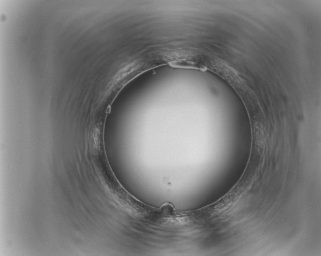 X0000060260071200511010924