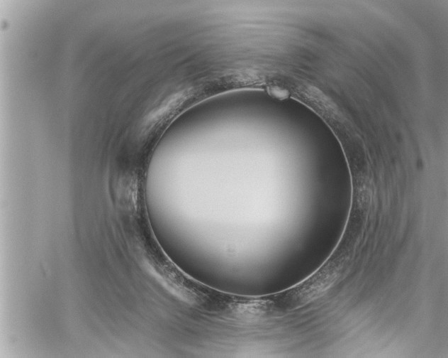 X0000060260072200511010924