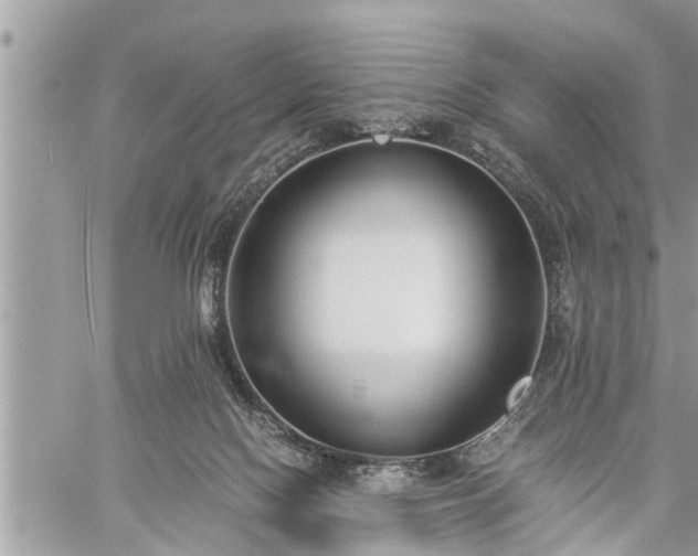 X0000060260074200511010924