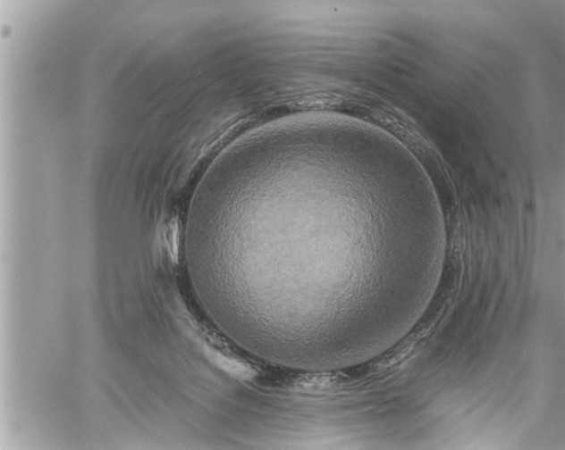 X0000060260076200511010924