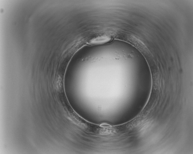 X0000060260077200511010924