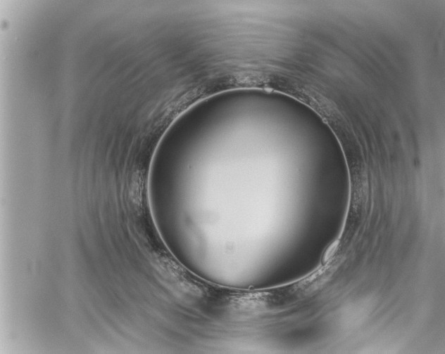 X0000060260078200511010924