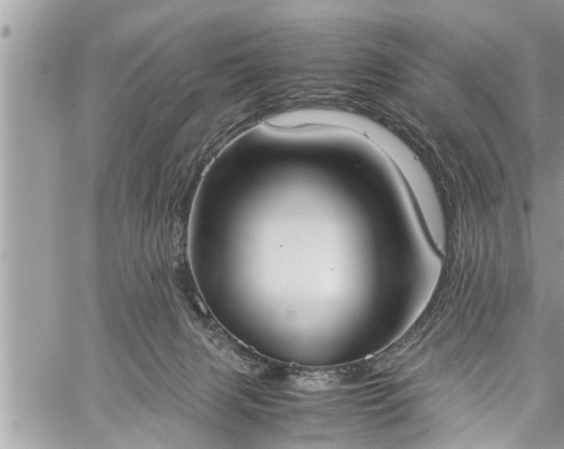 X0000060260079200511010924