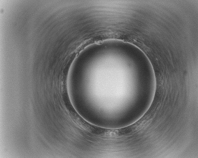 X0000060260080200511010924