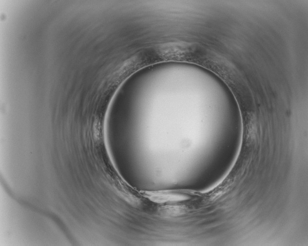 X0000060260081200511010924