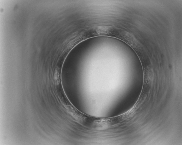 X0000060260082200511010924