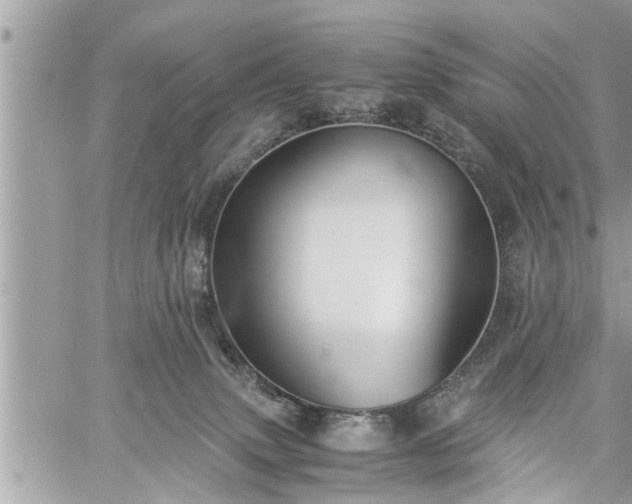 X0000060260083200511010924