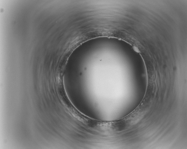 X0000060260084200511010924