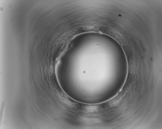 X0000060260085200511010924