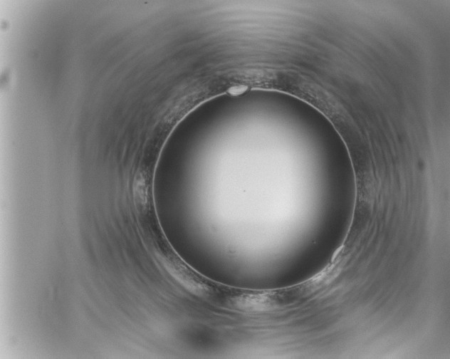 X0000060260086200511010924