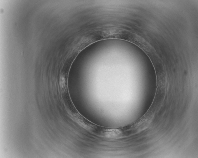 X0000060260087200511010924