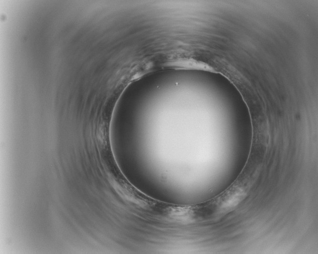 X0000060260088200511010924