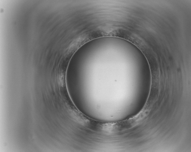 X0000060260090200511010924