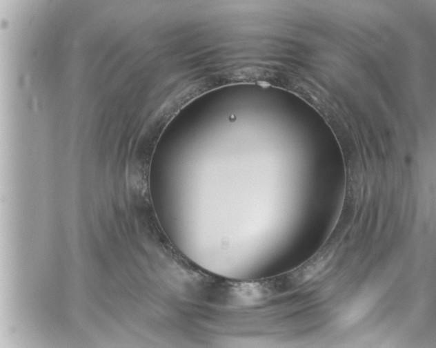 X0000060260091200511010924