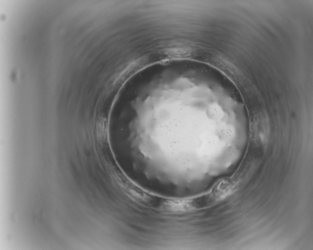 X0000060260093200511010924