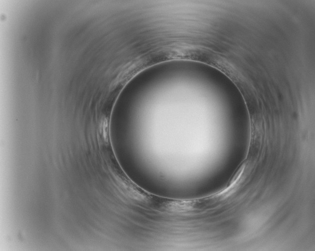 X0000060260094200511010924