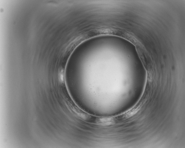 X0000060260095200511010924